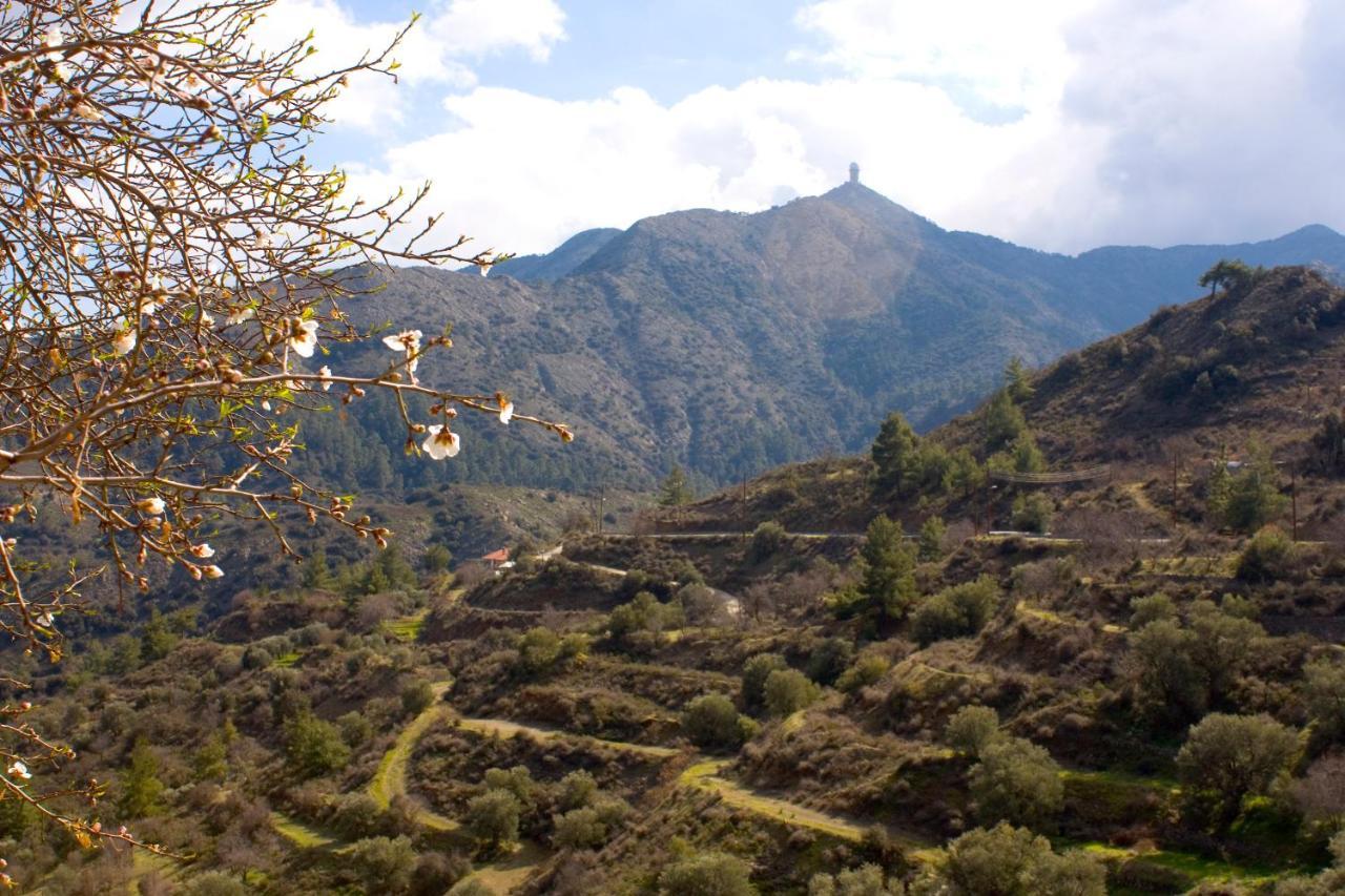 Aperanti Agrotourism Bed & Breakfast Pera Orinis Dış mekan fotoğraf